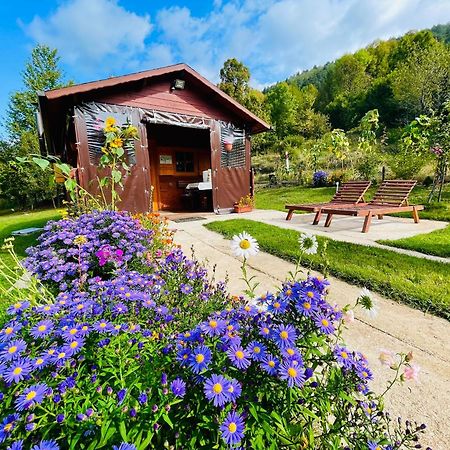 Cottage La Sierra With Jacuzzi Korenica Dış mekan fotoğraf