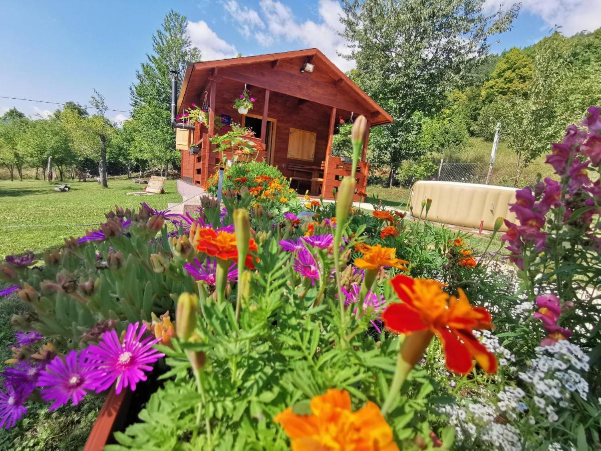 Cottage La Sierra With Jacuzzi Korenica Dış mekan fotoğraf