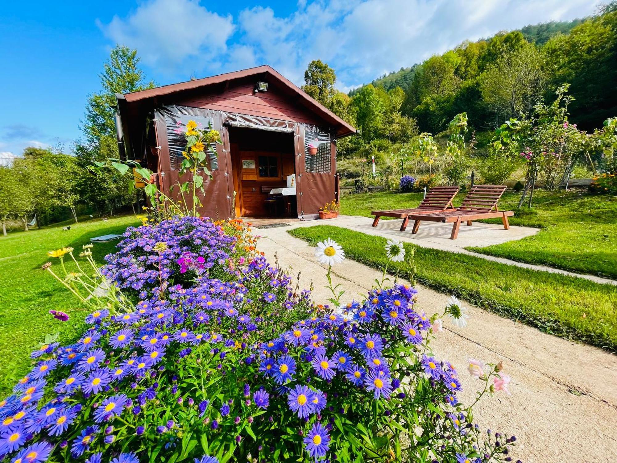 Cottage La Sierra With Jacuzzi Korenica Dış mekan fotoğraf